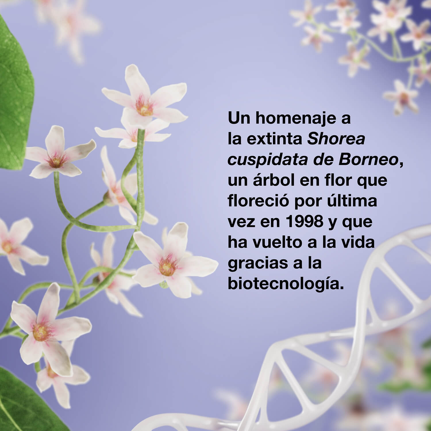 MOLECULAR REPAIR LEAVE-IN MASK K18 X FUTURE SOCIETY (MASCARILLA PARA CABELLO)